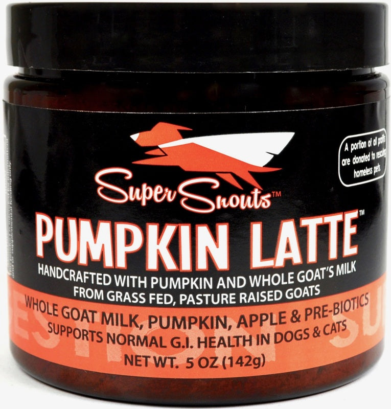 Super Snouts Pumpkin Latte