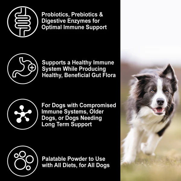 DogZymes Immuno Guard 8 oz