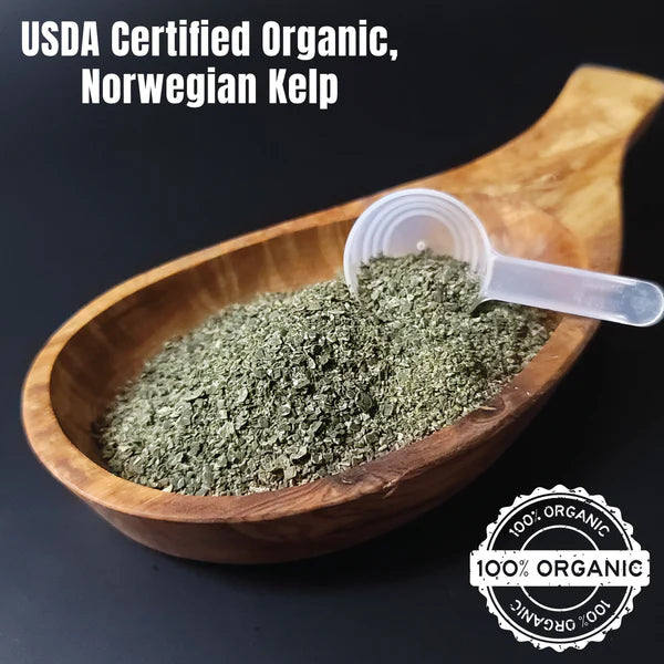 DogZymes Organic Norwegian Kelp with Organic Garlic