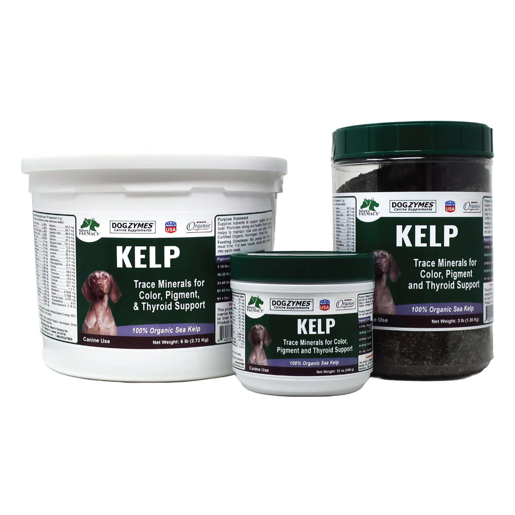 DogZymes Organic Norwegian Kelp