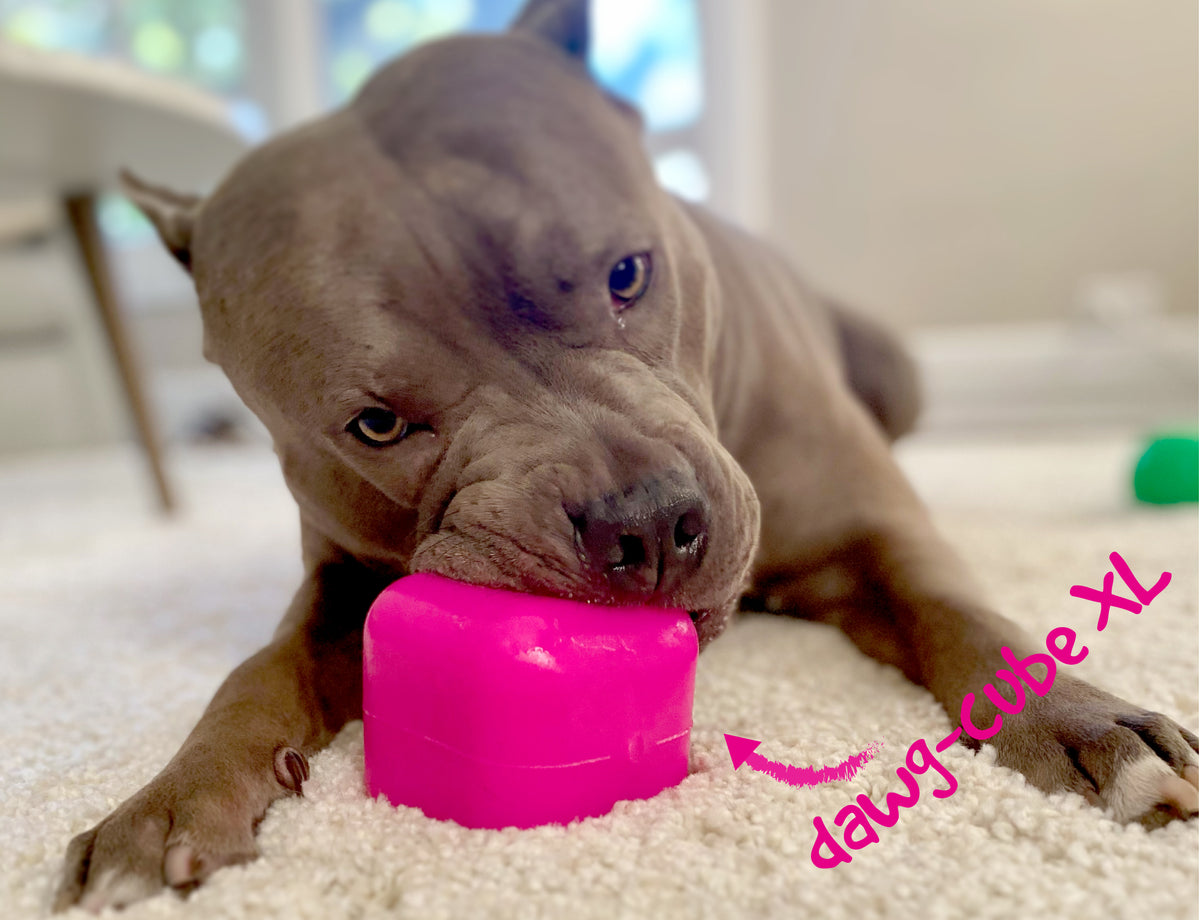 Ruff Dawg Cube
