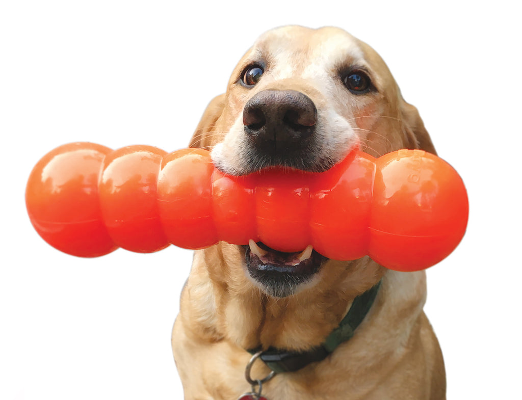Dawg Buster