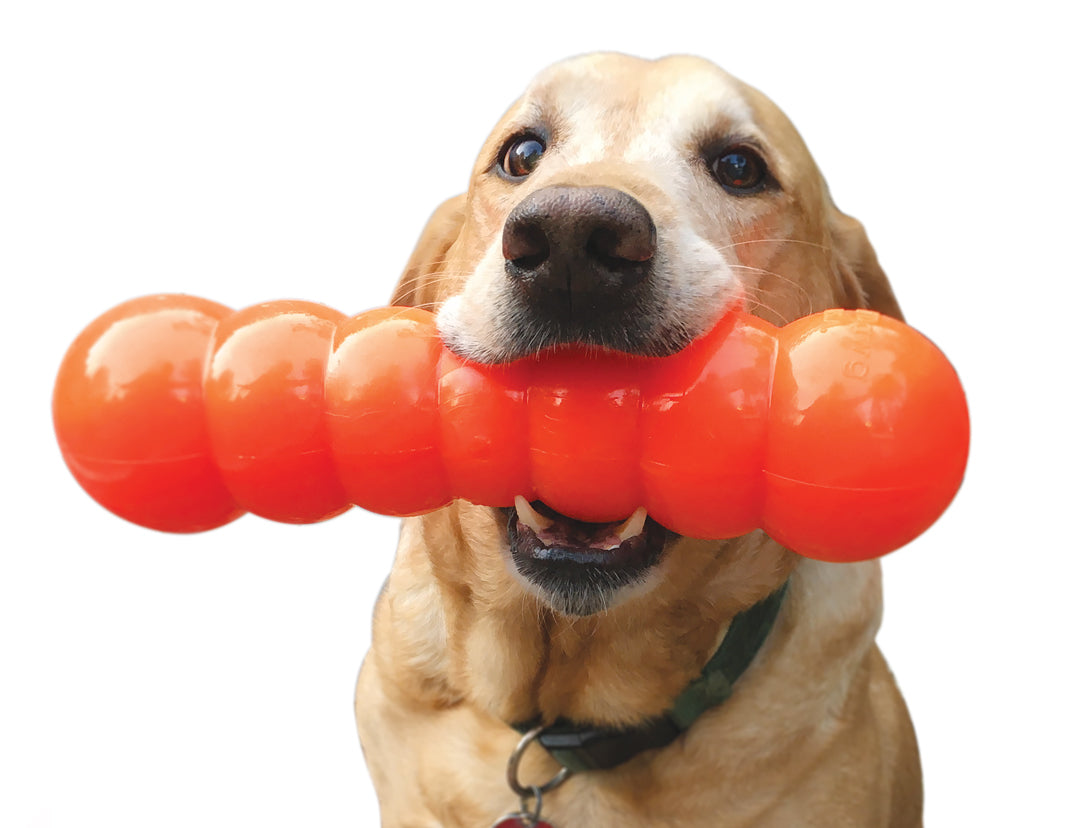 Dawg Buster