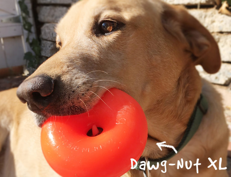 Dawg-Nut