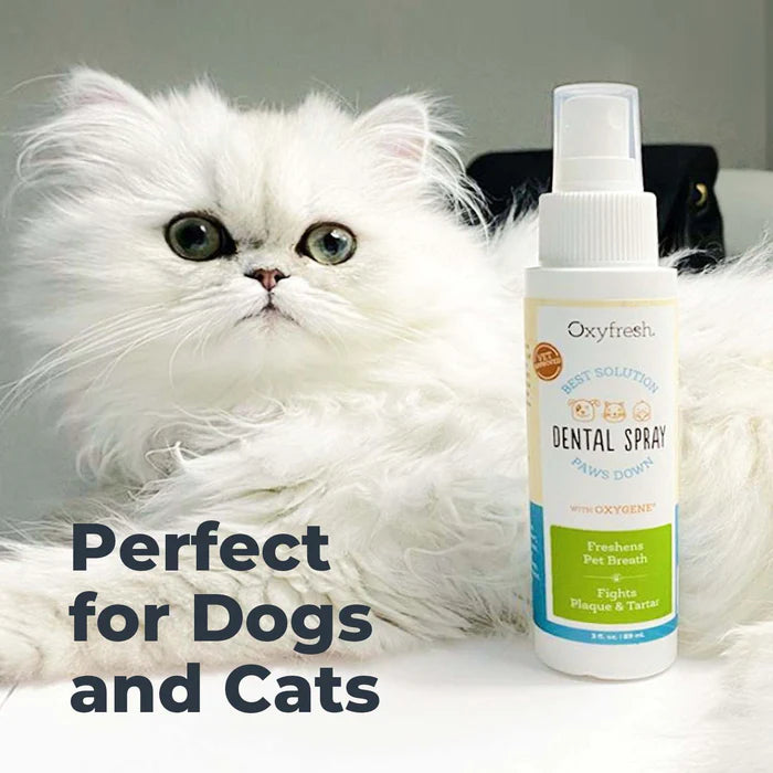 Oxyfresh Premium Pet Dental Spray