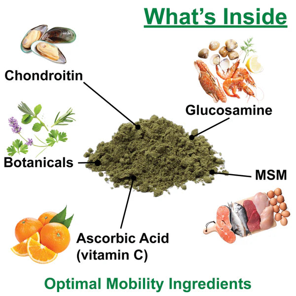 DogZymes Phyto Flex