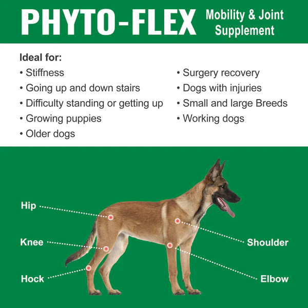 DogZymes Phyto Flex