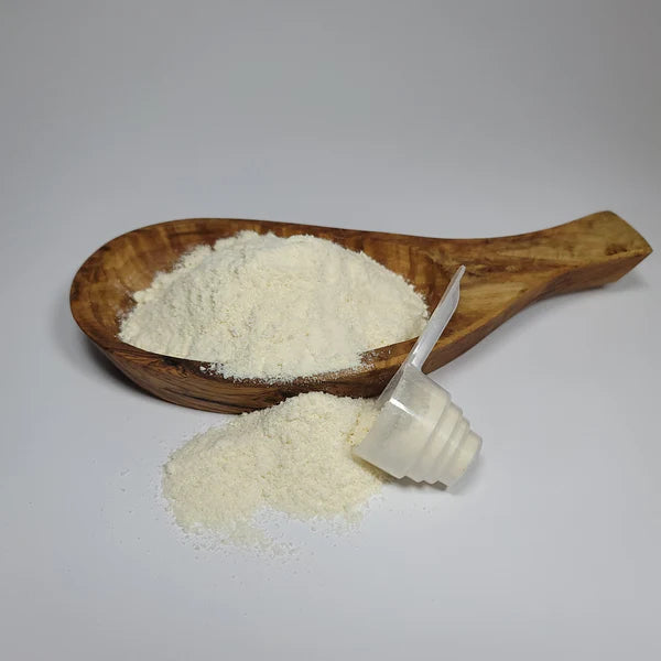 DogZymes Puppy - Bac Milk Replacer