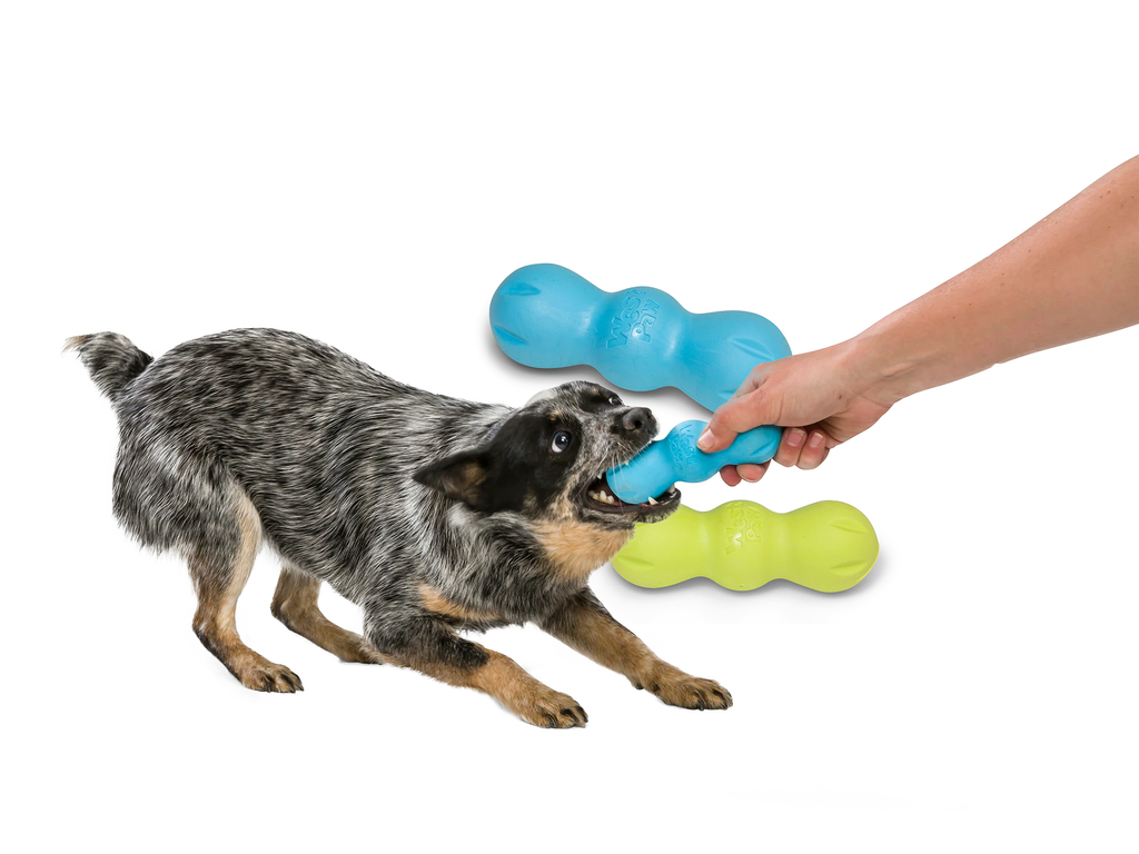Rumpus Chew Toy