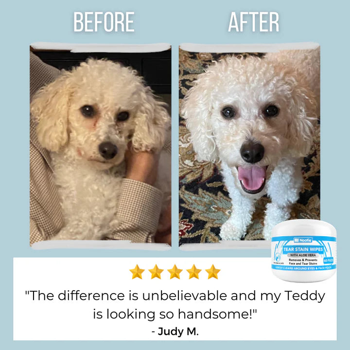 Nootie Tear Stain Wipes for Dogs & Cats