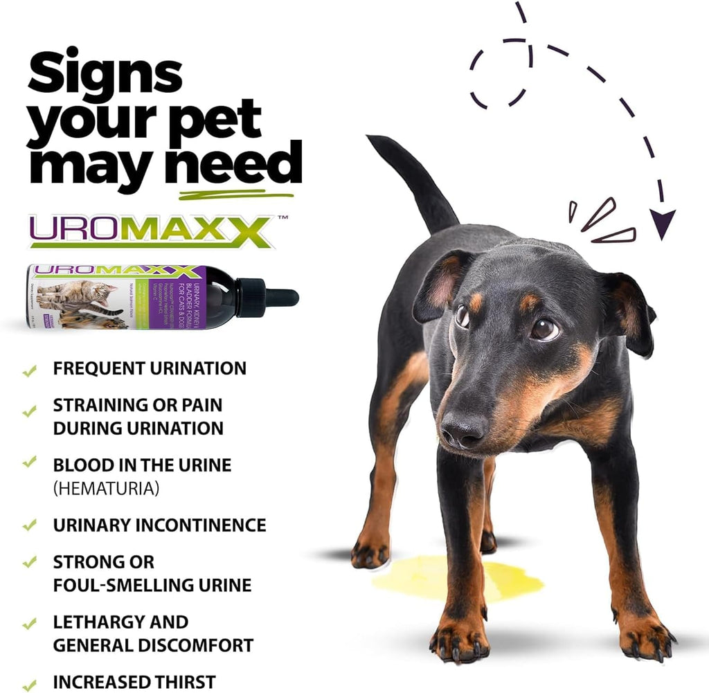 UroMaxx