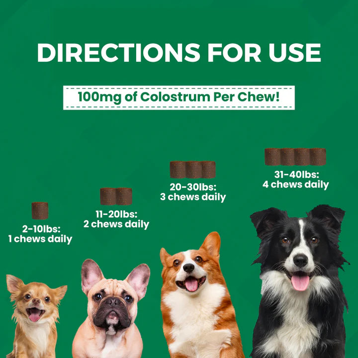 Nootie Progility Allergy & Immune with Colostrum Soft Chew Minis 60 ct