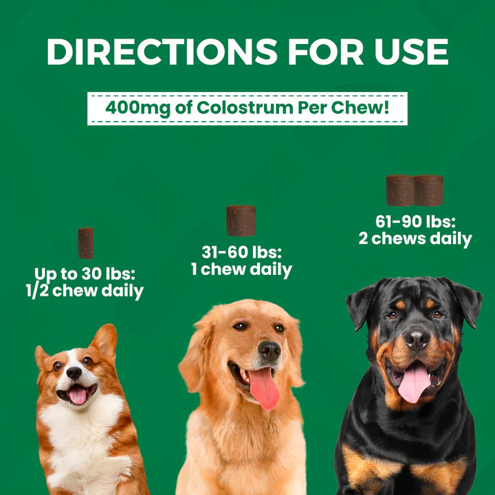 Nootie Progility Allergy & Immune with Colostrum Soft Chew 90 ct