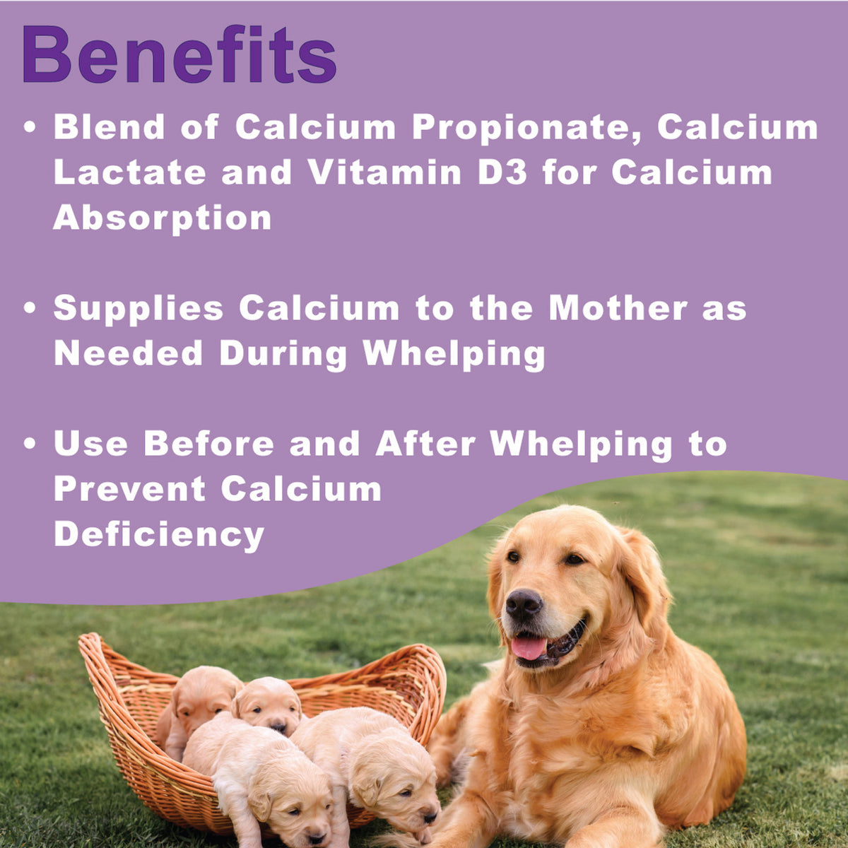 DOGZYMES Whelping Calcium Paste 30gm/cc