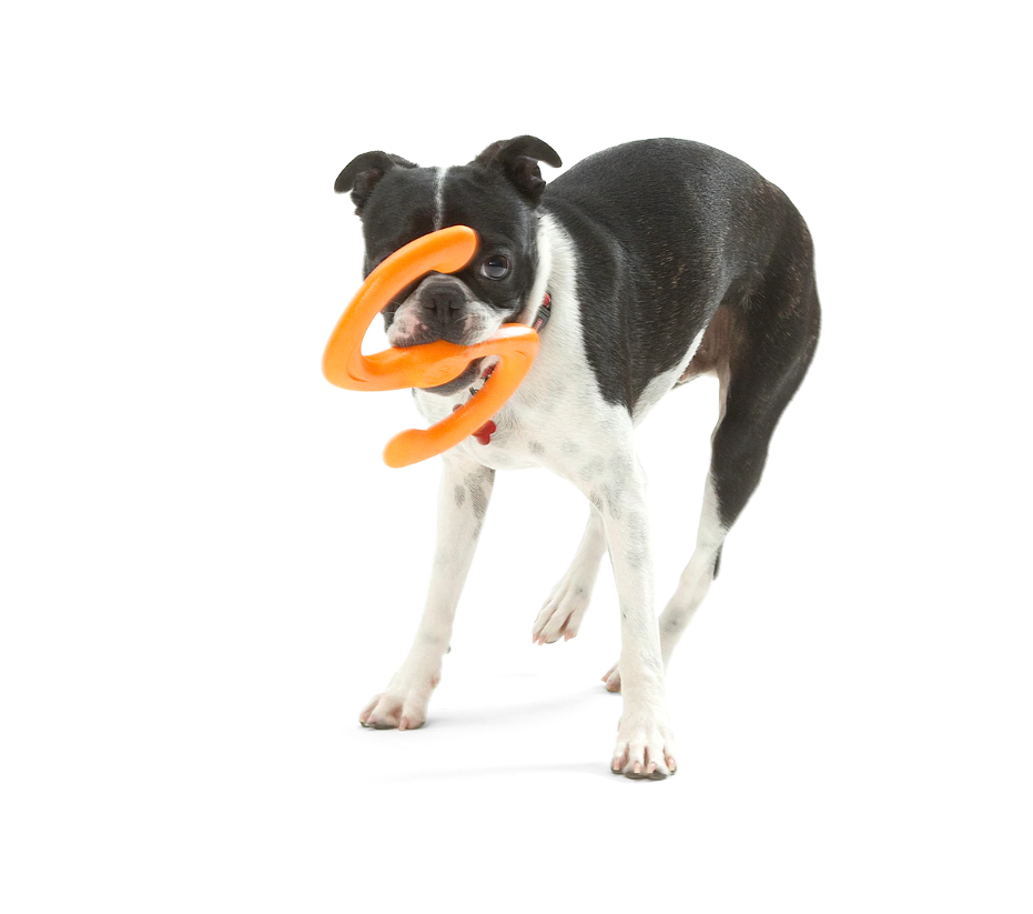 Bumi Tug Toy