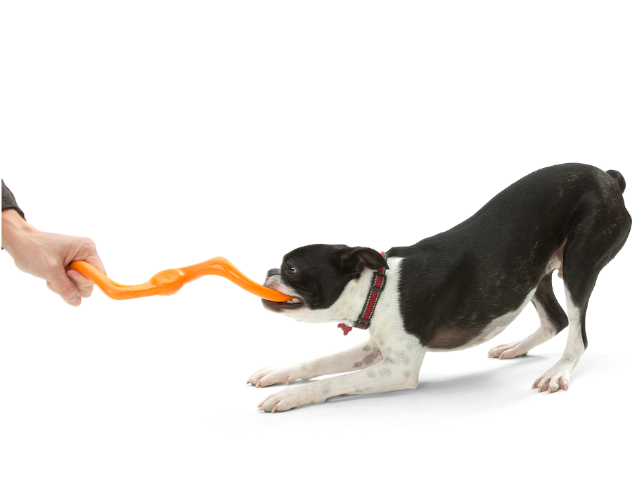 Bumi Tug Toy
