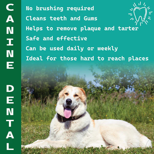 DogZymes Canine Dental Formula