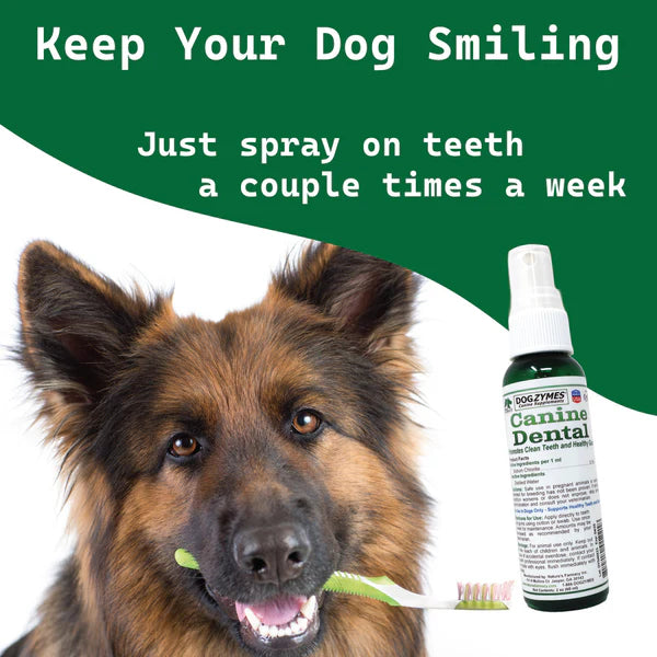 DogZymes Canine Dental Formula