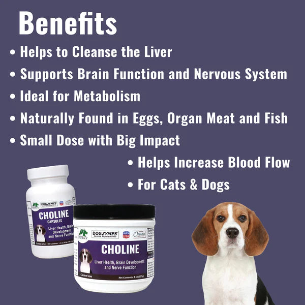 DogZymes Choline 8oz