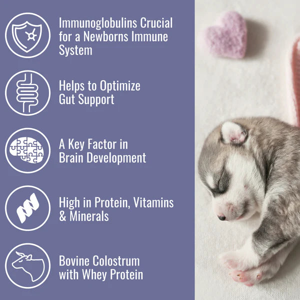 DogZymes Colostrum 8oz