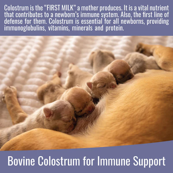 DogZymes Colostrum 8oz