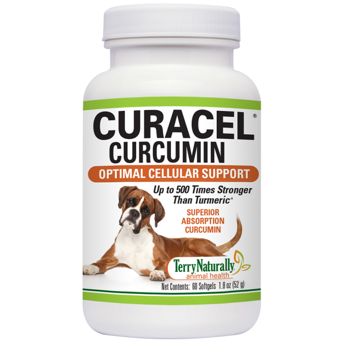 Curacel® Curcumin by Terry Naturally