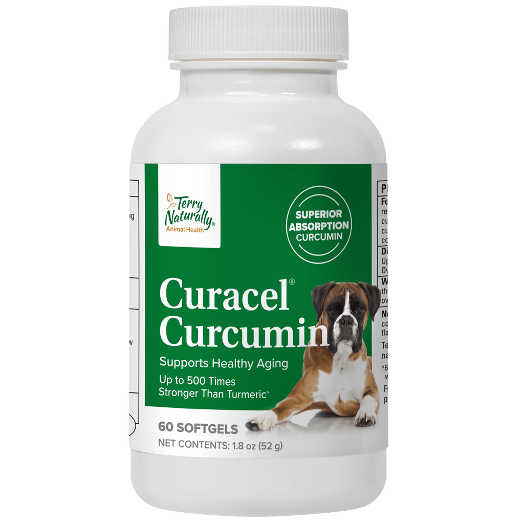 Curacel® Curcumin by Terry Naturally