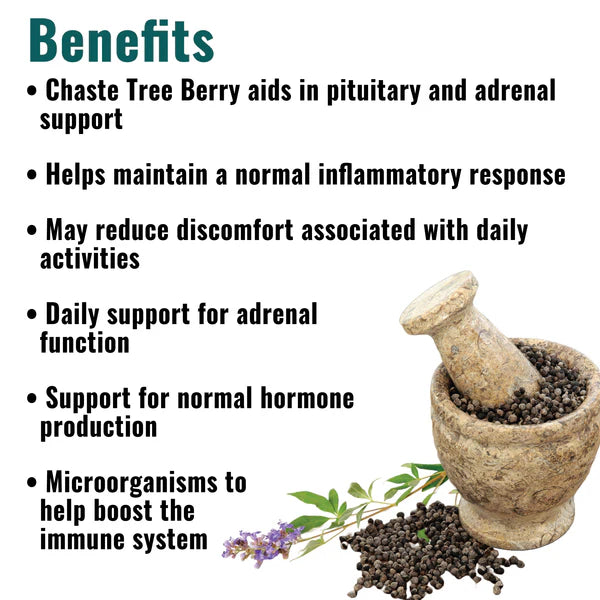 DogZymes Adrenal Support
