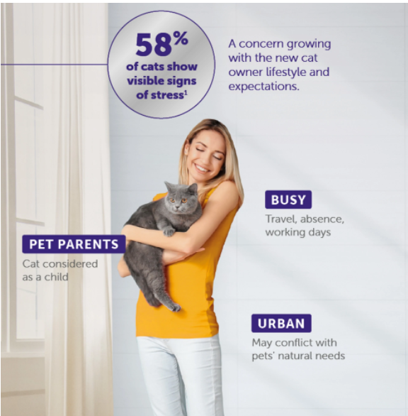Feliway Comfort Zone Optimum