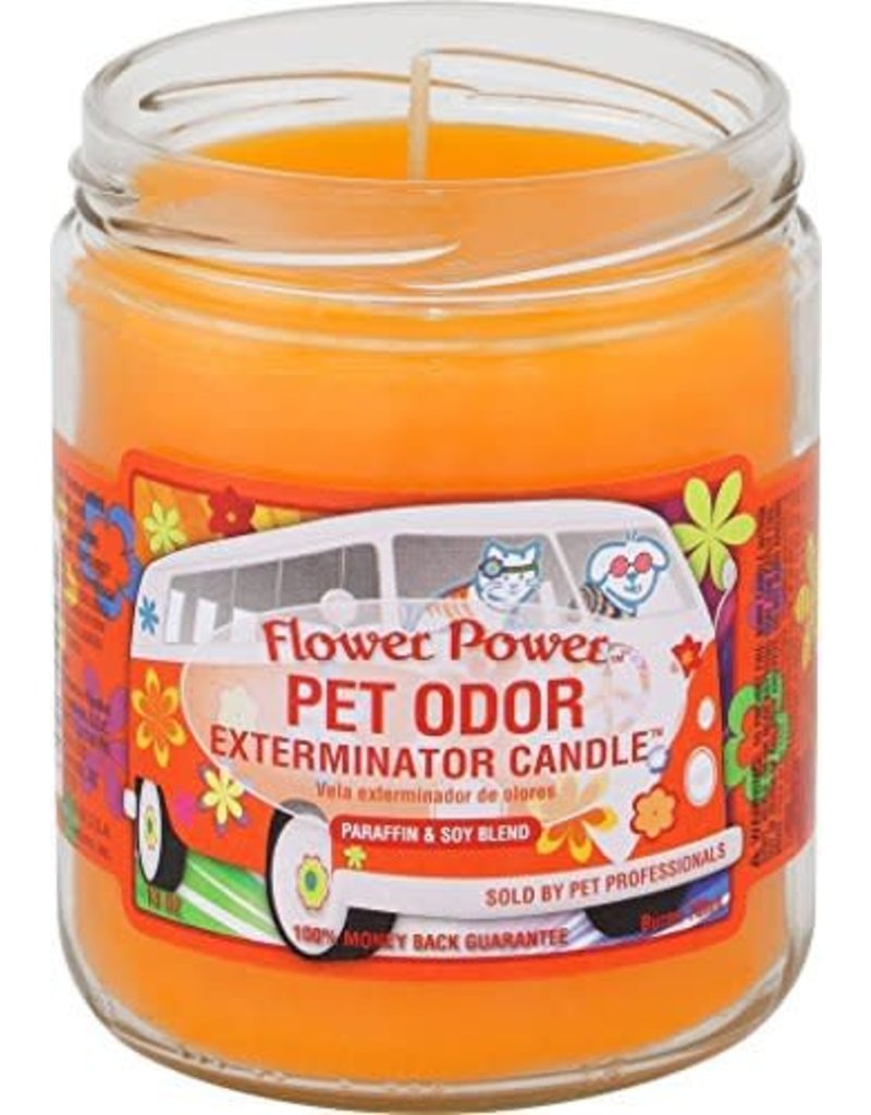 Pet Odor Exterminator Candle
