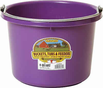 Miller Little Giant Plastic Livestock Bucket, Purple