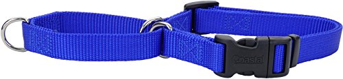 Coastal Collar No-Slip Martingale Dog Collar, Blue