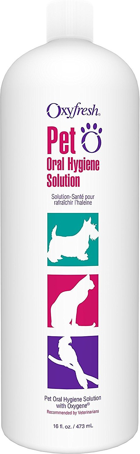 Oxyfresh Water Additive Dog & Cat Oral Hygiene Solution, 16-oz bottle