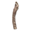Bones & Co Bully Stick Freeze-Dried Dog Treats