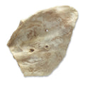 Bones & Co Pig Ear Freeze-Dried Dog Treats