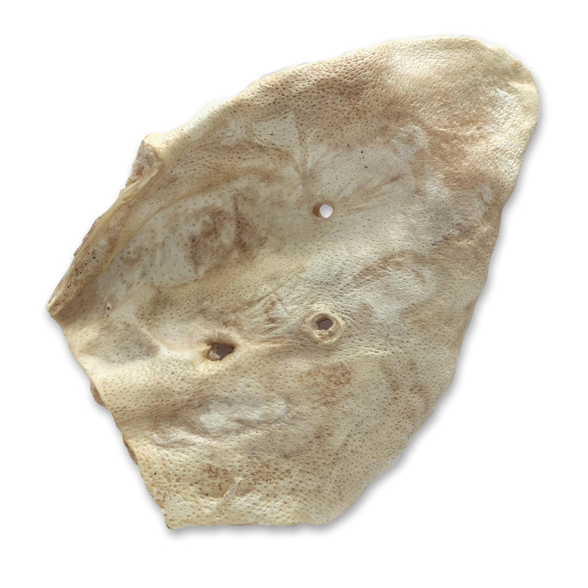 Bones & Co Pig Ear Freeze-Dried Dog Treats