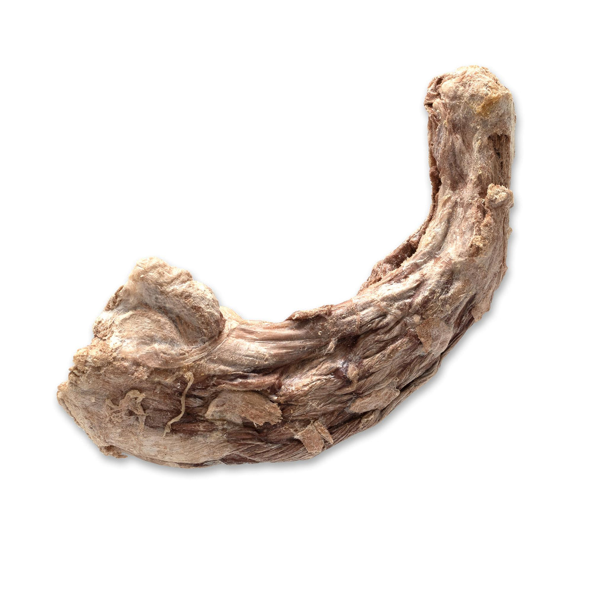 Bones & Co Turkey Neck Freeze-Dried Dog Treats