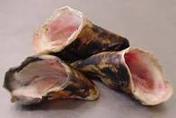 Green Tripe Cow Hoof 3pk
