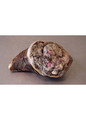 Green Tripe Stuffed Cow Hoof