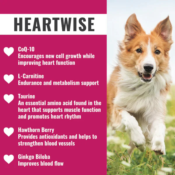 DogZymes  Heartwise Capsules 100 count