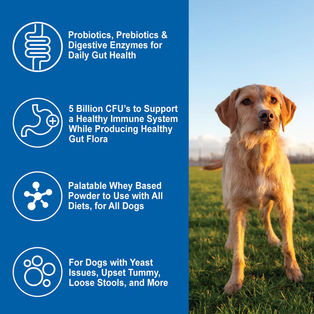 DogZymes Probiotic Daily Balance Whey Base