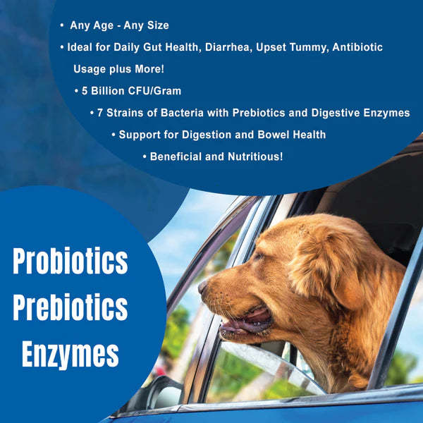 DogZymes Probiotic Daily Balance Whey Base