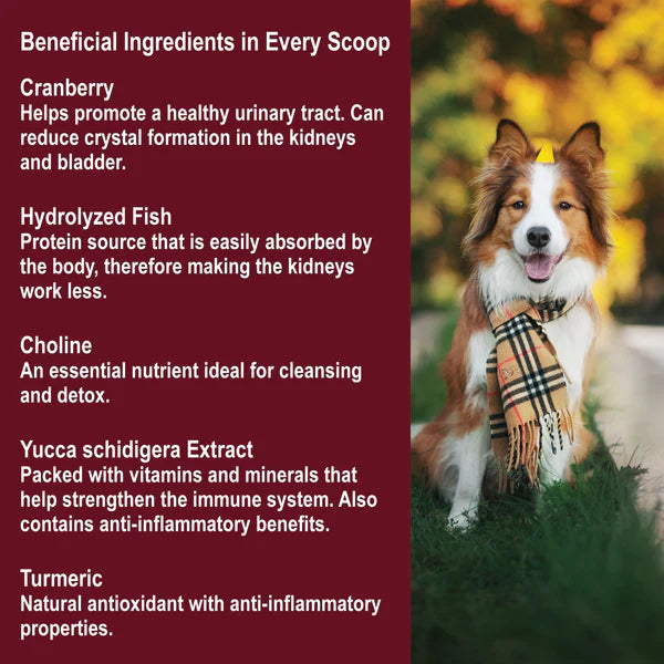 DogZymes Kidney Support 8 oz