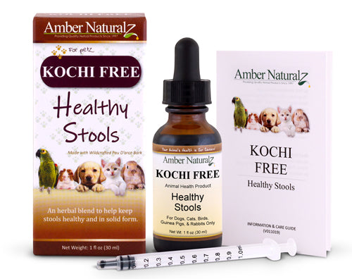 Kochi Free (formerly known as Kocci Free)
