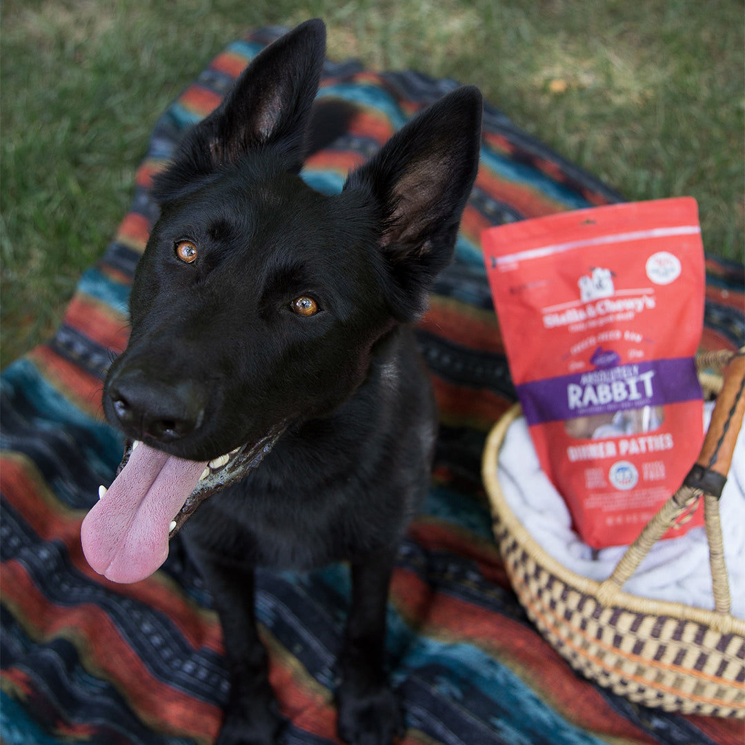 Stella & Chewy's Absolutely Rabbit Dinner Patties Grain-Free Freeze-Dried Dog Food