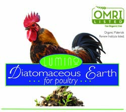 Diatomaceous Earth Poultry