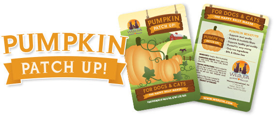 Weruva Pumpkin Patch Up ! 1.05oz