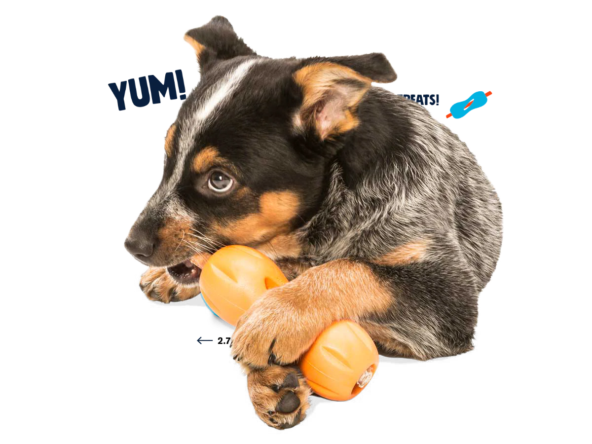 Qwizl Treat Toy