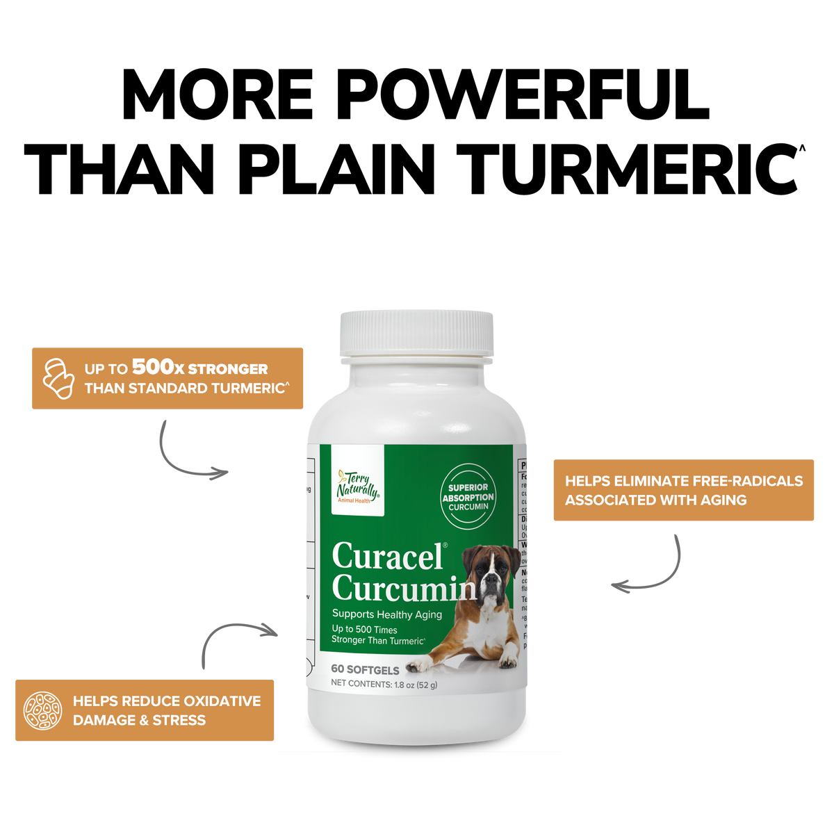 Curacel® Curcumin by Terry Naturally