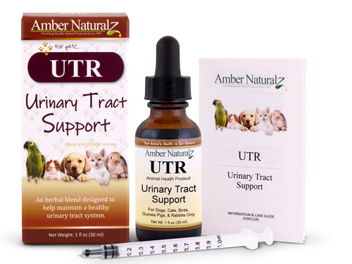 UTR